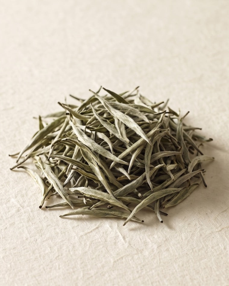 陈野 · 荒野古树贡眉 — silver-needle white tea on handmade paper
