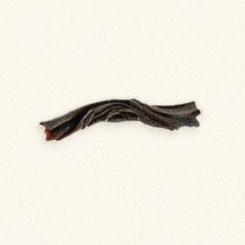 Phoenix Night Bloom: a single leaf on paper