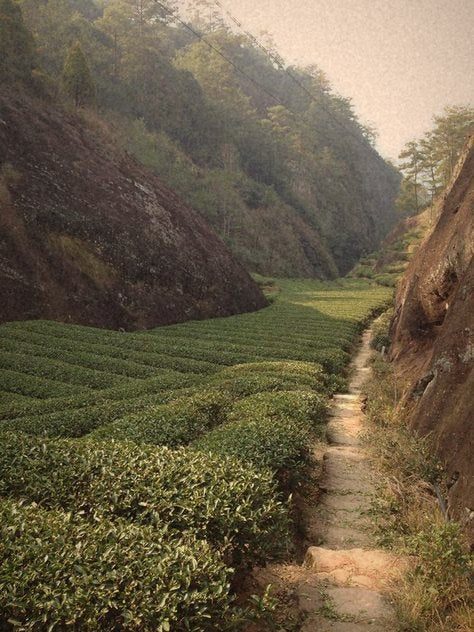 The gorge path