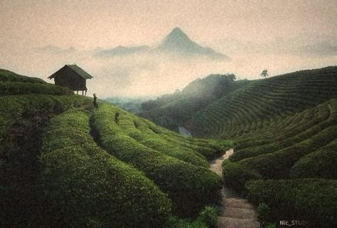 Where the farmer naps